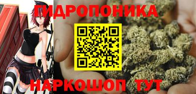 PSILOCYBIN Аргун